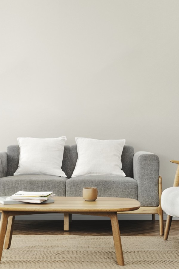 Living room scandinavian interior